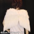 画像2: 大人用　天使の羽根・悪魔の羽根　40cm×60cm (2)