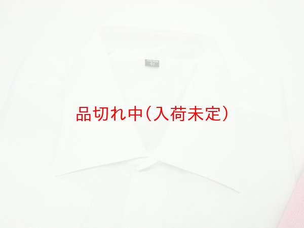 画像3: 大人用　コスチューム　トゥース (3)