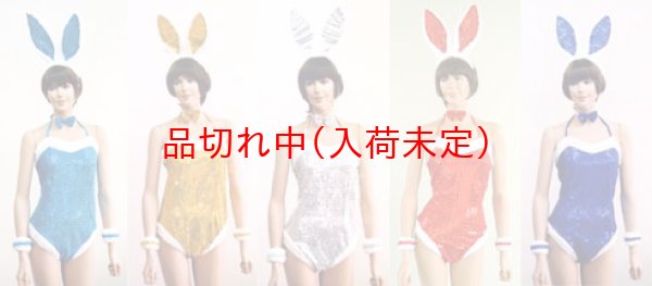画像2: 大人用　コスプレ　バニーガール　キラキラ (2)