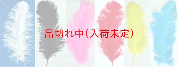 画像2: 大人用　フェザー (2)