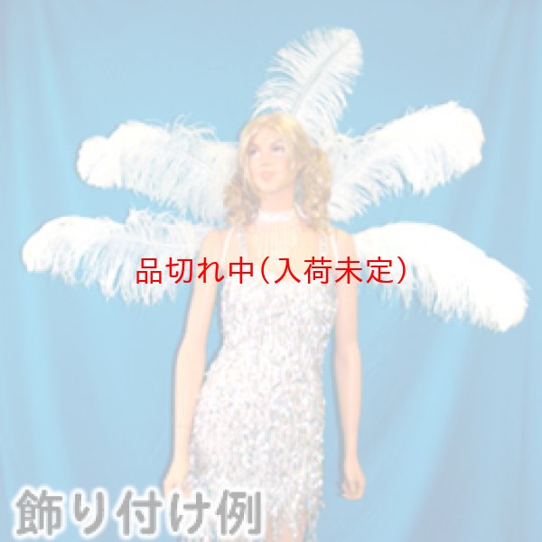 画像3: 大人用　フェザー (3)