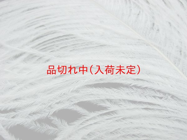画像4: 大人用　フェザー (4)