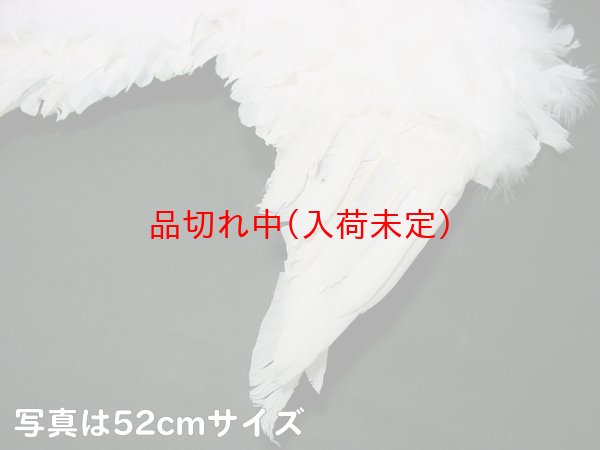 画像3: 大人用　エンジェルウィング＆デビルウィング　55cm×52cm (3)