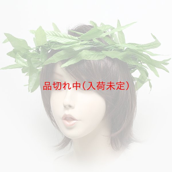 画像1: 月桂冠 (1)