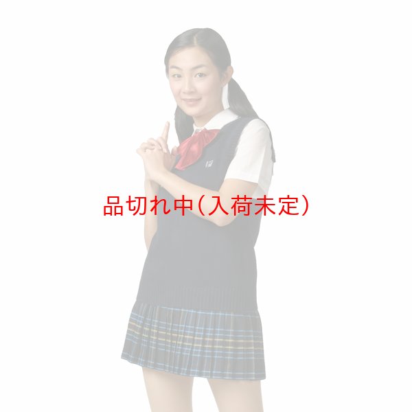 画像2: 大人用 コスプレ 女子高生 ベスト紺 リボン付 (2)