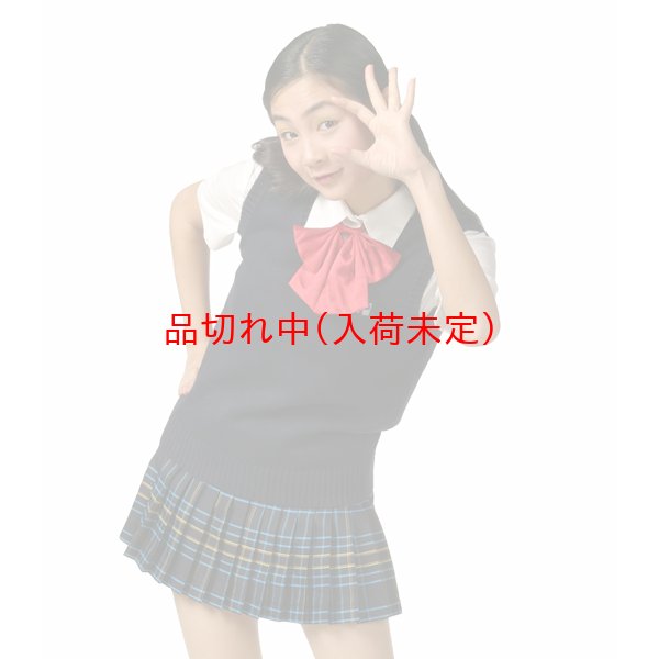 画像3: 大人用 コスプレ 女子高生 ベスト紺 リボン付 (3)