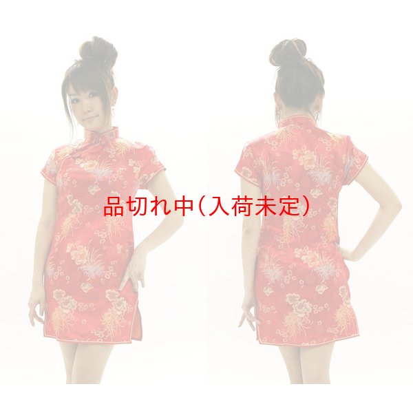 画像3: 大人用　コスプレ　チャイナドレス　ミニ (3)