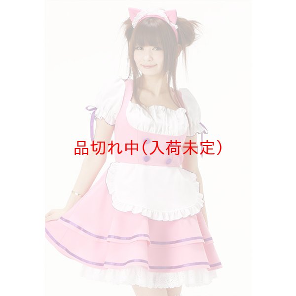 画像2: 大人用 コスプレ メイド服 キャット (2)