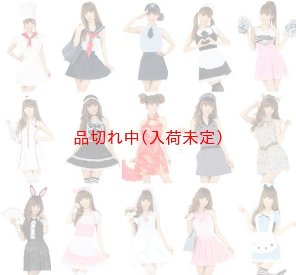 画像1: 大人用　パーティーエプロン (1)