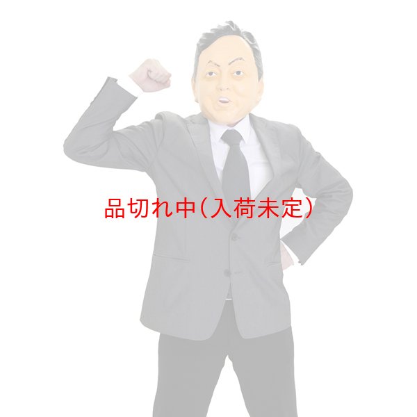 画像3: 大人用　リアルゴムマスク　ハトヤマ (3)