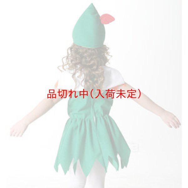 画像2: 子供コスチューム 森のこびと (2)