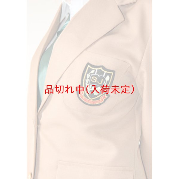 画像3: 大人用　コスプレ　女子高生　イケメン (3)