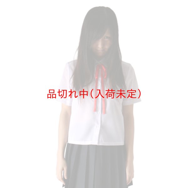 画像2: 大人用　コスプレ　少女　血のり付 (2)