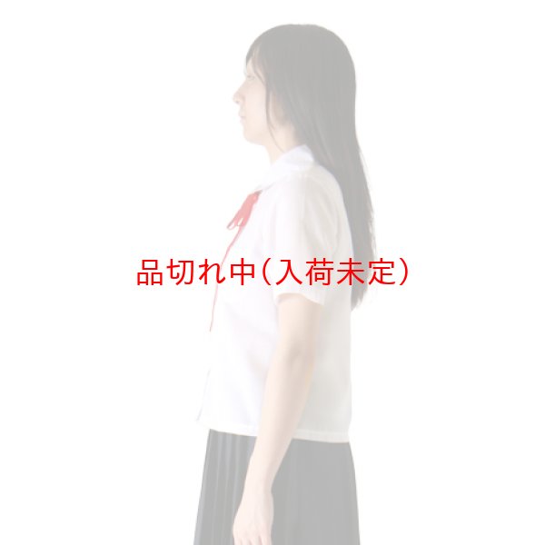 画像3: 大人用　コスプレ　少女　血のり付 (3)