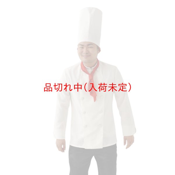 大人用 コスチューム