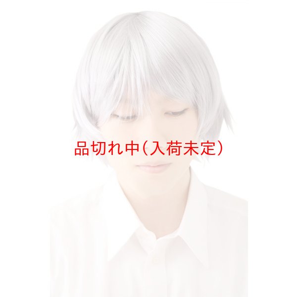 画像2: 大人用　かつら　アニメショート (2)