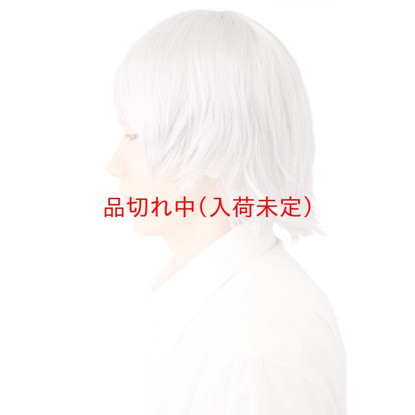 画像3: 大人用　かつら　アニメショート (3)