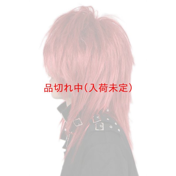 画像2: 大人用　かつら　ビジュアル系 (2)