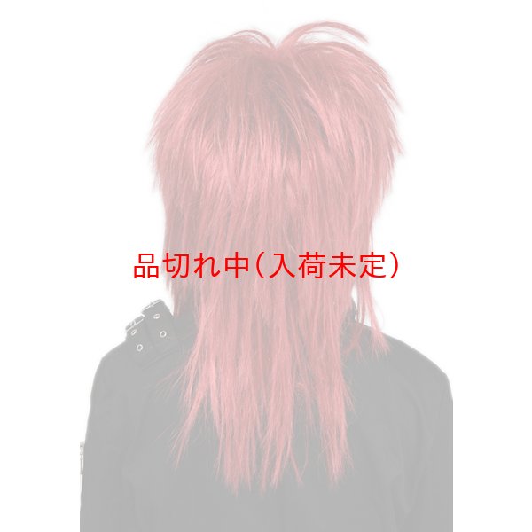 画像3: 大人用　かつら　ビジュアル系 (3)