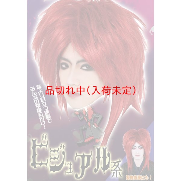 画像5: 大人用　かつら　ビジュアル系 (5)