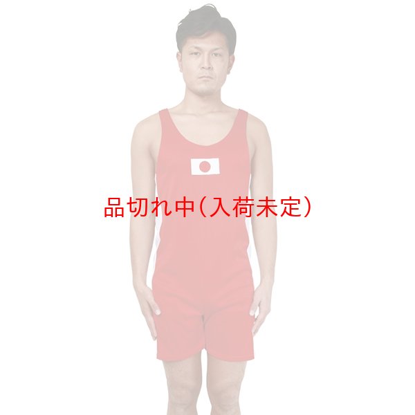 画像2: 大人用コスチューム レスリング (2)