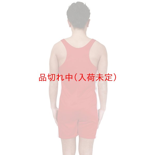 画像4: 大人用コスチューム レスリング (4)