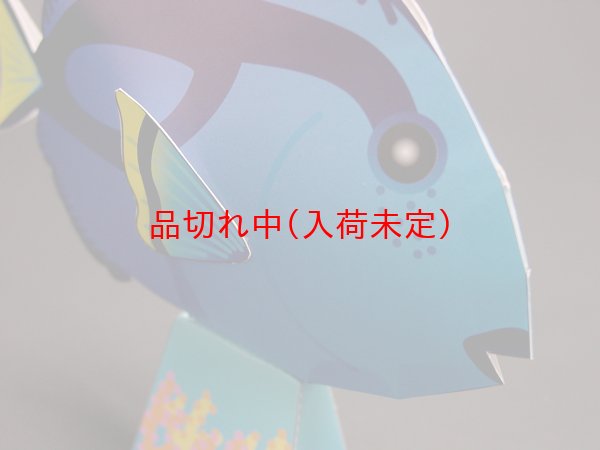 画像3: ペーパークラフト　カクレクマノミ＆ナンヨウハギ　まとめ買い40セット (3)