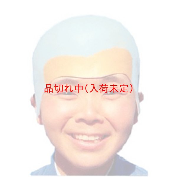 画像1: 大人用　かつら　坊さん (1)