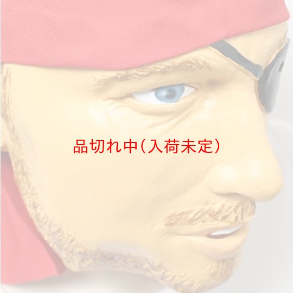 画像4: 大人用　リアルゴムマスク　海賊 (4)