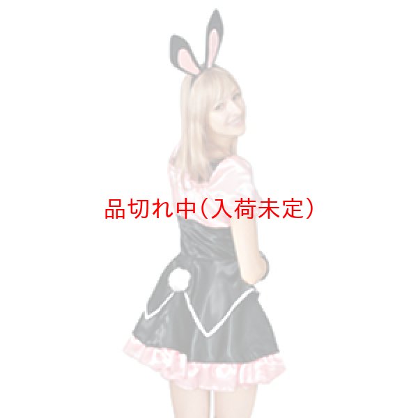 画像2: 大人用　コスプレ　バニードレス (2)