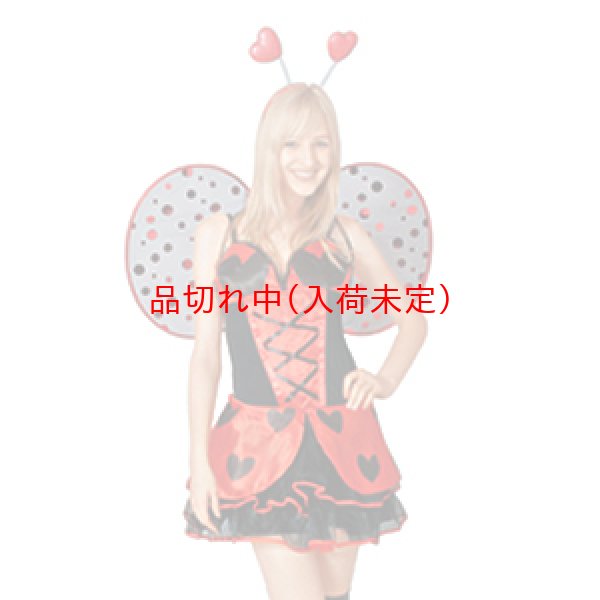 画像1: 大人用　コスプレ　てんとう虫 (1)
