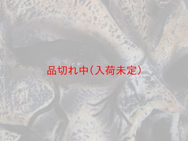 画像5: 大人用　リアルゴムマスク　モンスター (5)