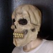 画像2: 大人用　リアルゴムマスク　頭蓋骨 (2)