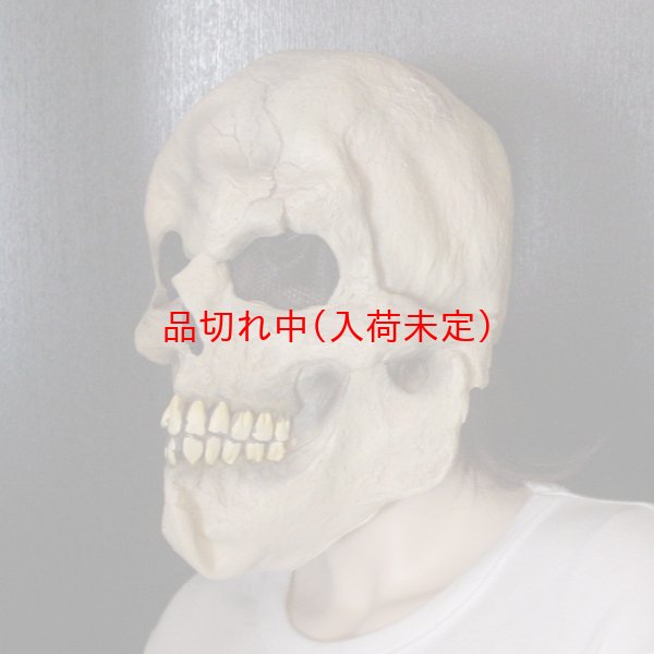 画像2: 大人用　リアルゴムマスク　頭蓋骨 (2)