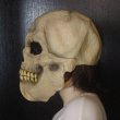 画像3: 大人用　リアルゴムマスク　頭蓋骨 (3)