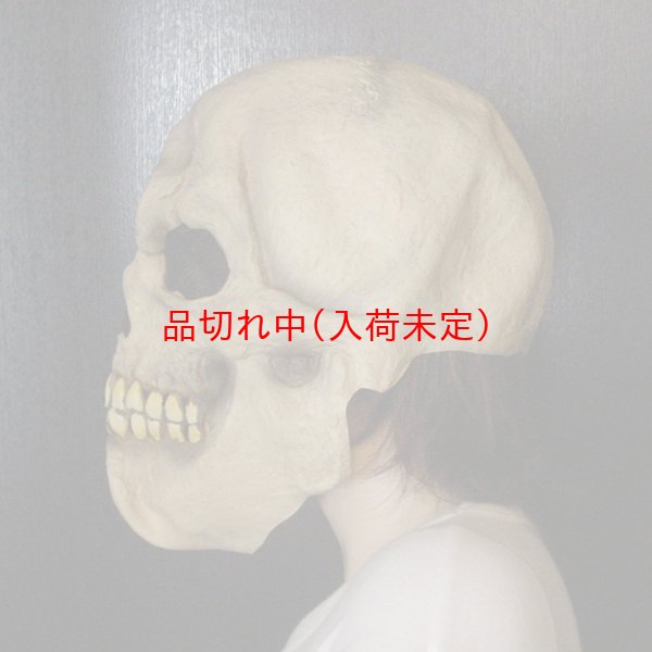 画像3: 大人用　リアルゴムマスク　頭蓋骨 (3)