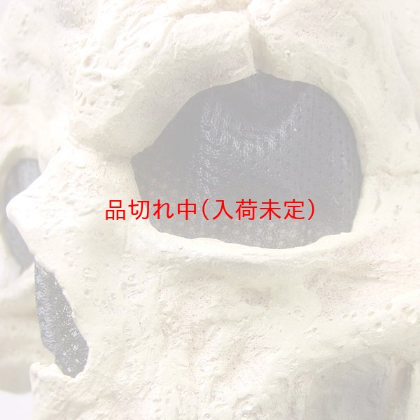 画像5: 大人用　リアルゴムマスク　頭蓋骨 (5)