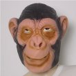 画像2: 大人用　干支　申　類人猿のリアルゴムマスク (2)