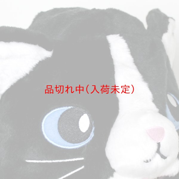 画像5: 大人用　かぶりもの　くろねこ (5)