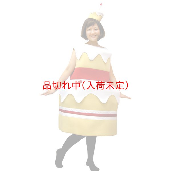 画像3: 大人用　コス着ぐるみ　ケーキ (3)