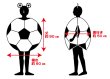 画像5: 大人用　コス着ぐるみ　サッカーボール (5)