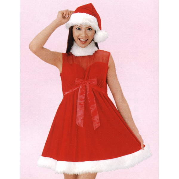 大人用 サンタドレス ワンピース シースルー 季節の商品 クリスマスコスチューム 子供用 Com イベント用品とパーティーグッズの通販